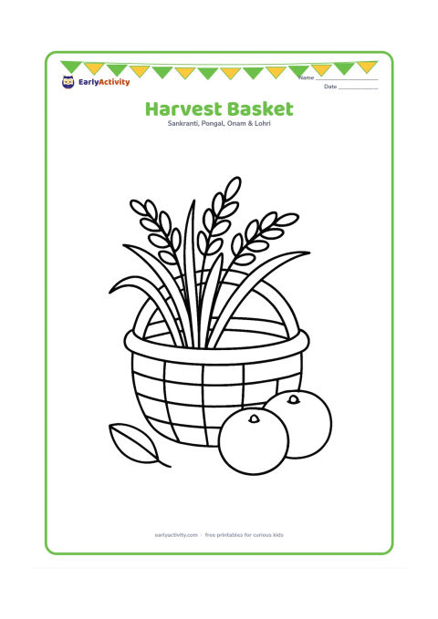 Colouring page: Draw a large woven harvest basket filled with rice stalks and two round fruits, placed on the ground beside a simple leaf. Show only a few broad weave lines.