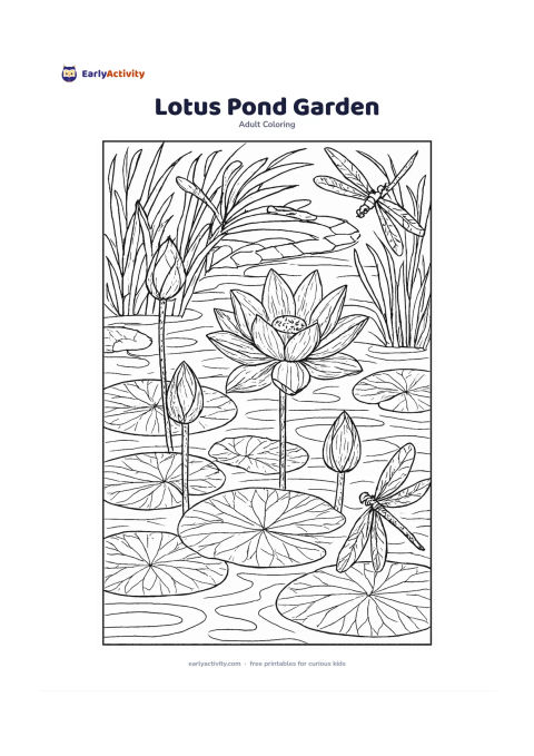 Colouring page: Draw several lotus flowers and broad water-lily leaves floating on a pond, with reeds, grasses, dragonflies and a curved stone path in the background. Show one open lotus, one side-view…