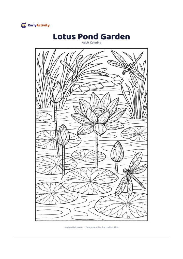 Colouring page: Draw several lotus flowers and broad water-lily leaves floating on a pond, with reeds, grasses, dragonflies and a curved stone path in the background. Show one open lotus, one side-view…