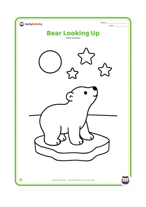 Colouring page: A polar bear stands on a flat ice floe and looks up at a round moon, with three large stars and a low horizon line.