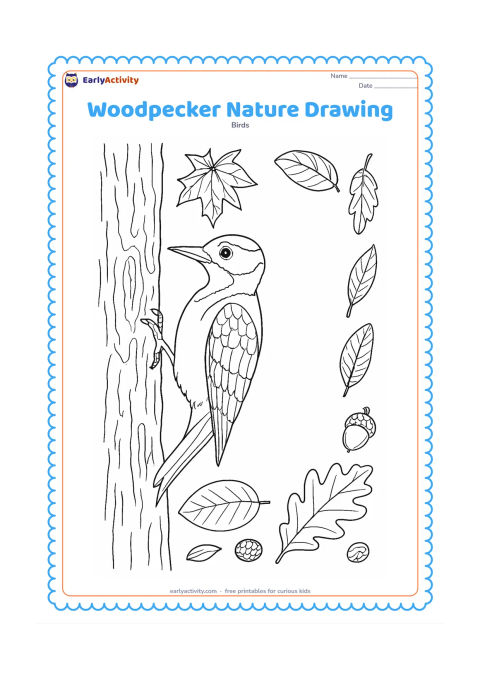 Colouring page: Place a detailed woodpecker on a tree trunk at the left side, with woodland leaves, bark, a feather and a few natural objects around it. Leave a large clean open area on the right for a…