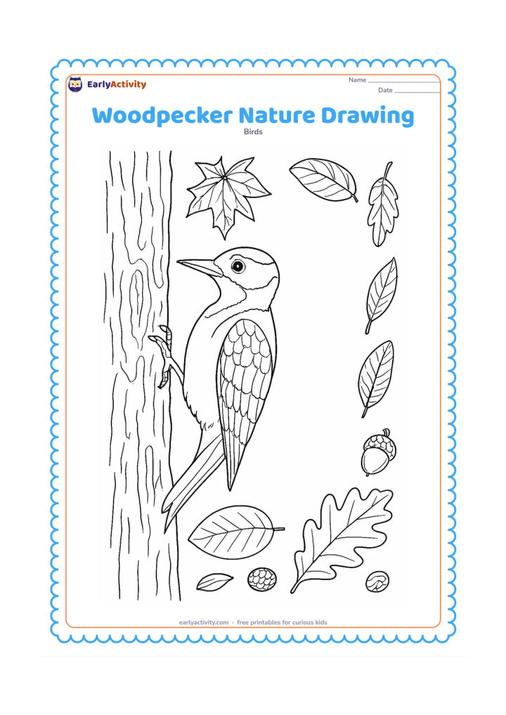 Colouring page: Place a detailed woodpecker on a tree trunk at the left side, with woodland leaves, bark, a feather and a few natural objects around it. Leave a large clean open area on the right for a…