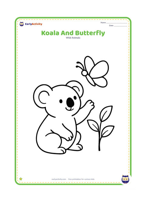 Colouring page: Draw a seated koala reaching one paw toward a large friendly butterfly. Place them beside a short eucalyptus sapling with three broad leaves.