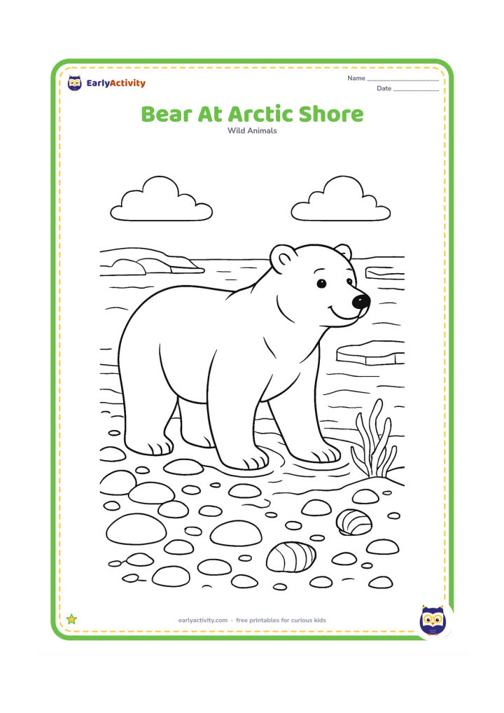 Colouring page: A polar bear stands at the edge of the sea with one paw in shallow water, surrounded by smooth stones, seaweed, shells and distant ice floes.