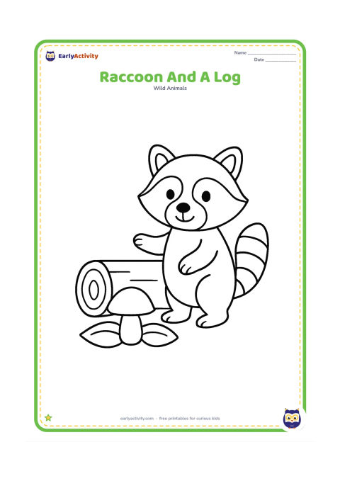 Colouring page: Draw a raccoon standing beside a short fallen log, lifting one front paw toward it. Add one large mushroom and two wide leaves near the log.