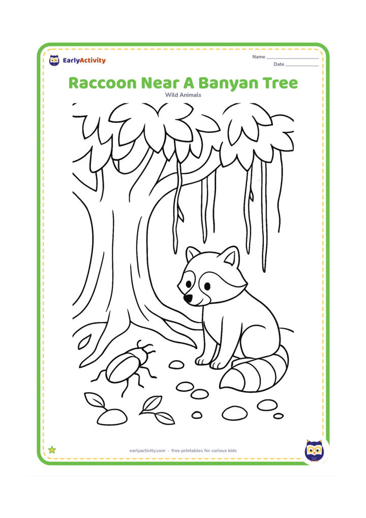 Colouring page: Draw a raccoon sitting beneath a broad banyan tree with hanging aerial roots, looking at a small beetle on the ground. Add a few roots, leaves and rounded stones.