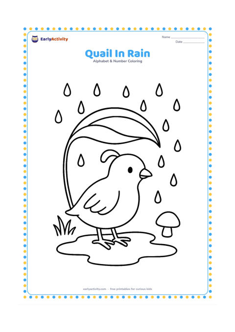 Colouring page: A quail stands under a broad leaf while gentle raindrops fall around it. Add a puddle, two grass clumps, and one small mushroom.