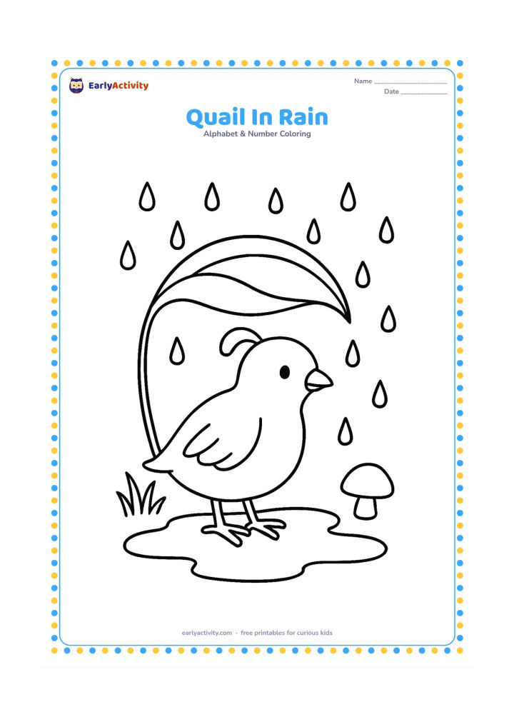 Colouring page: A quail stands under a broad leaf while gentle raindrops fall around it. Add a puddle, two grass clumps, and one small mushroom.