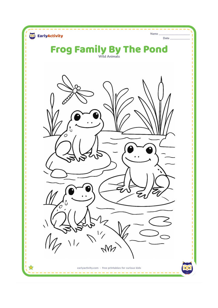 Colouring page: Draw three friendly frogs of different sizes resting together beside a pond: one on a stone, one on a lily pad and one near the grassy bank. Add reeds, water plants, a dragonfly, pebbles…