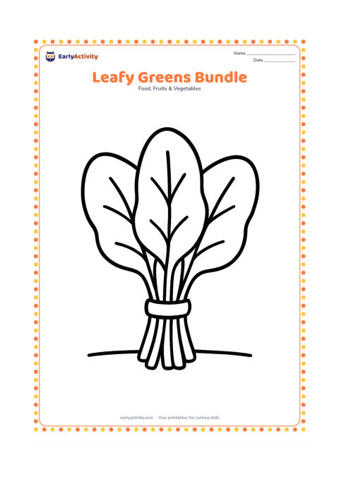 Colouring page: Draw a small bundle of spinach or other leafy greens tied with a simple band, with three large leaves spreading outward. Place it on a plain surface.