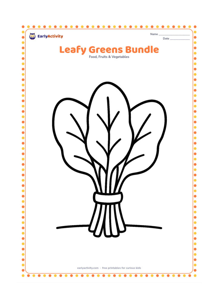 Colouring page: Draw a small bundle of spinach or other leafy greens tied with a simple band, with three large leaves spreading outward. Place it on a plain surface.