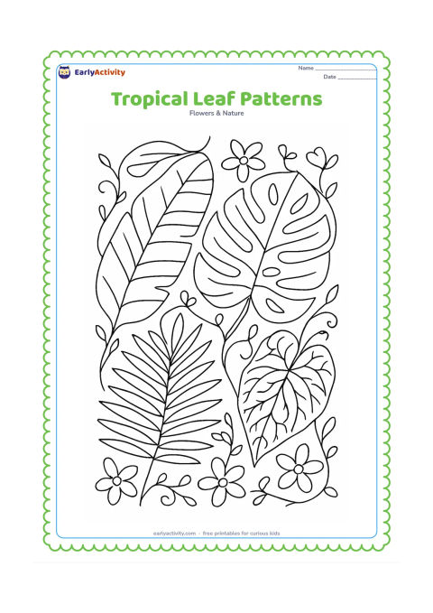 Colouring page: A close nature scene combines a banana leaf, monstera-like split leaf, palm frond and patterned caladium leaf among vines and small flowers.