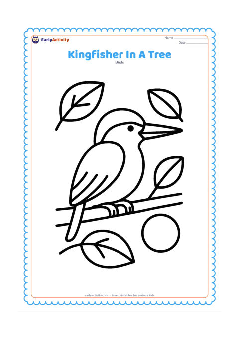 Colouring page: A kingfisher rests on a low tree branch with its wings folded and tail hanging down. Surround it with three large leaves and one round fruit shape.