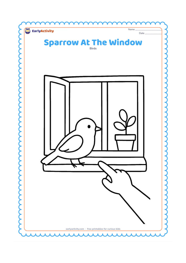 Colouring page: Draw one sparrow perched on an outside window ledge, with a large open window behind it and one simple potted plant inside. Show a child's hand gently pointing from the edge of the…
