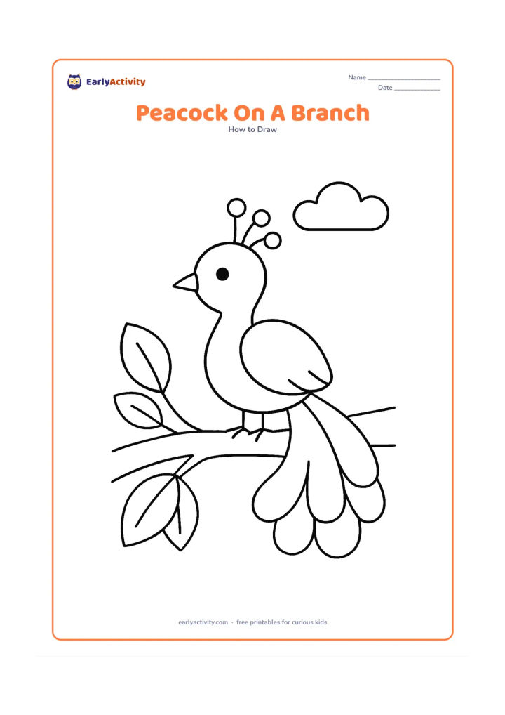 Worksheet: A small peacock balances on a thick, low branch, with its tail hanging in a rounded fan below it. Add two large leaves and one simple cloud in the background.