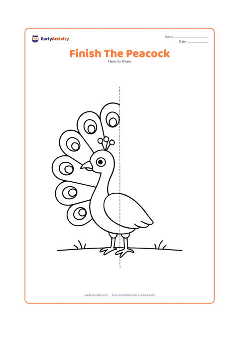 Worksheet: Show the left half of a peacock with its body, neck and half of the fan tail complete, while the right half is left open for the child to finish. Add a central vertical symmetry guide…