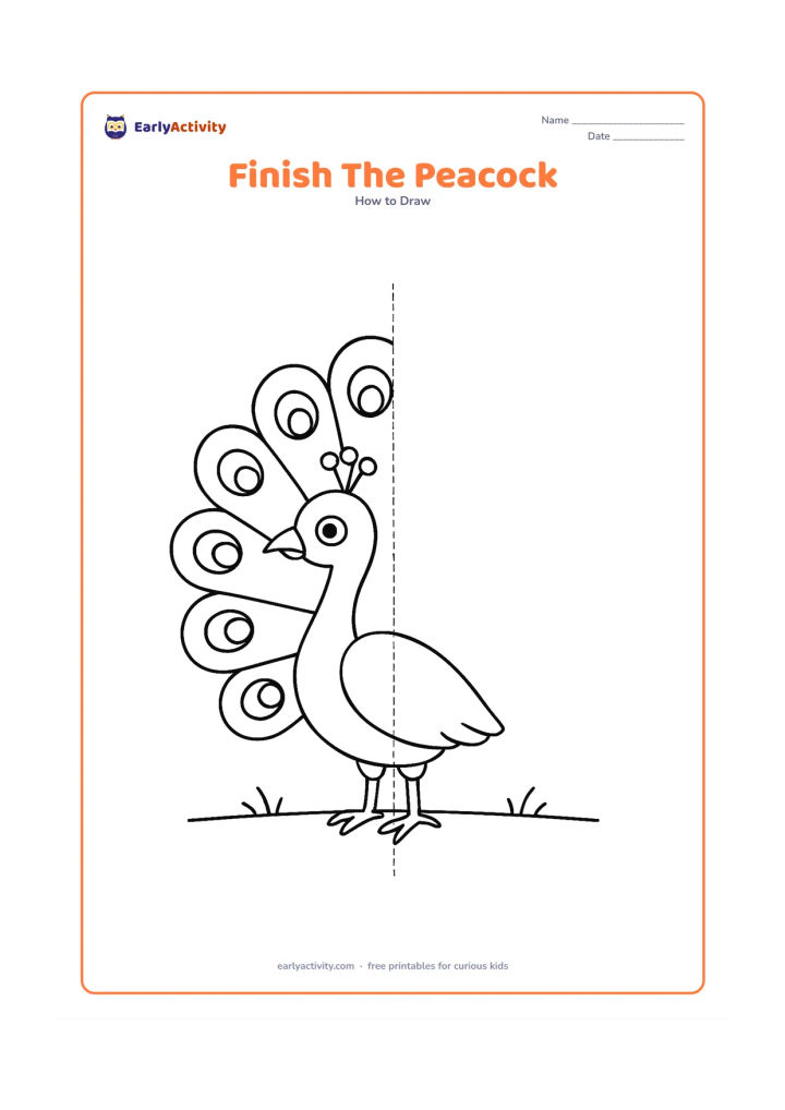Worksheet: Show the left half of a peacock with its body, neck and half of the fan tail complete, while the right half is left open for the child to finish. Add a central vertical symmetry guide…