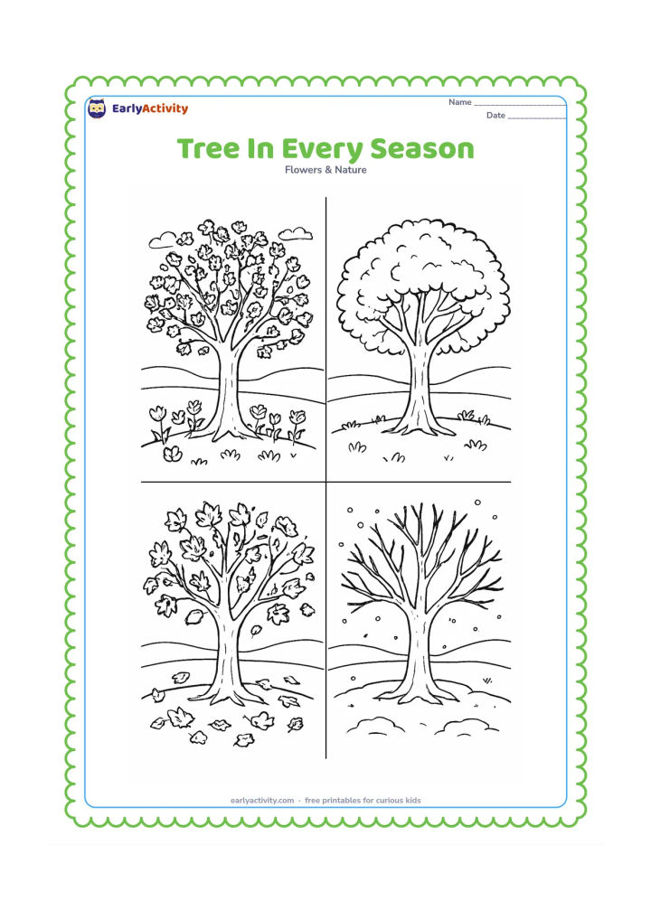 Colouring page: Draw a four-part landscape showing the same tree through spring blossoms, summer shade, autumn colour, and winter bare branches with snow. Add season-specific ground details such as…