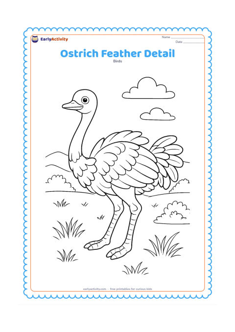 Colouring page: An ostrich stands three-quarters toward the viewer with its wings partly open, revealing layered feathers along the wings, body and tail. Place it in a lightly detailed grassland with…