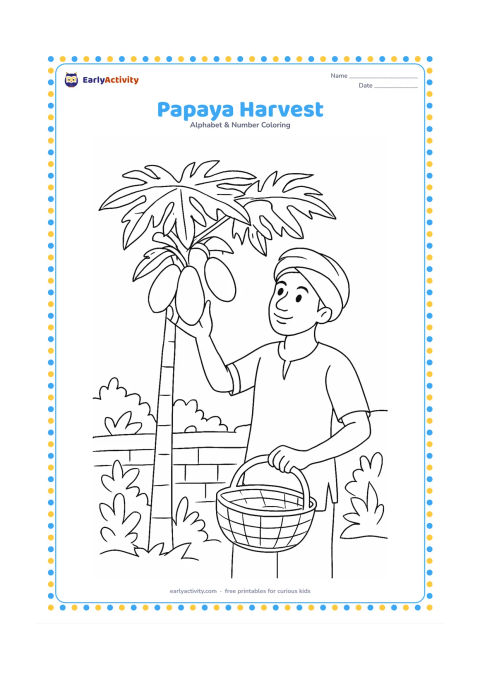 Colouring page: Draw a farmer in a simple Indian garden reaching toward ripe papayas on a papaya tree. Show broad leaves, a woven basket and a low mud wall in the background.