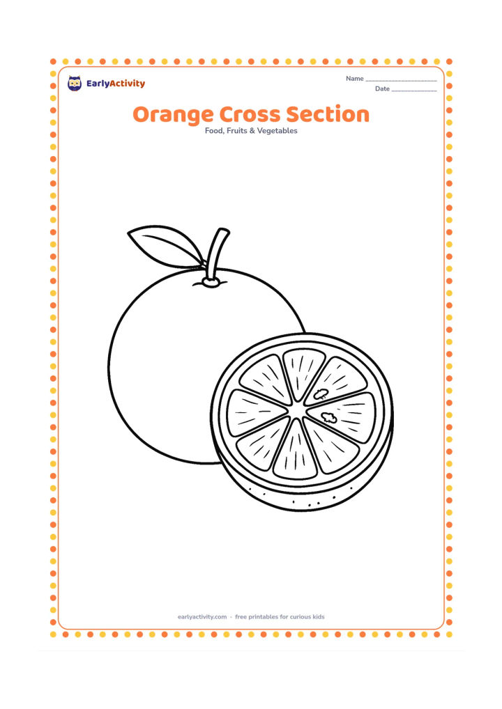 Colouring page: Draw a large whole orange beside a detailed half orange showing peel, white pith, juicy segments and a few seeds. Add a small leaf and stem for comparison.