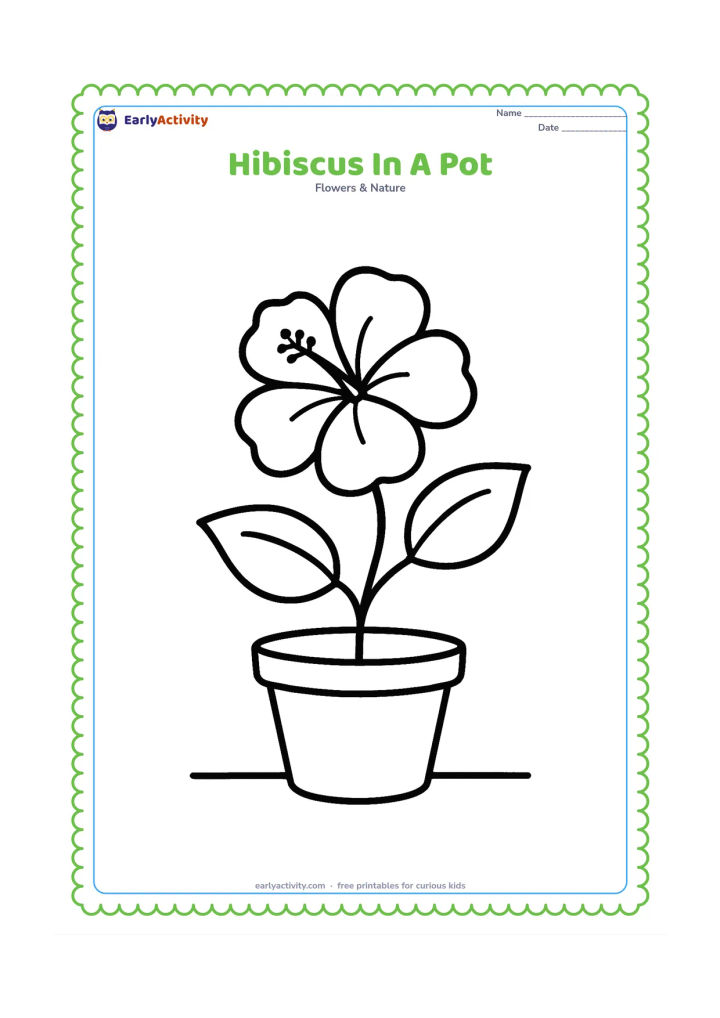 Colouring page: Draw a single hibiscus plant growing from a wide flower pot, with one open bloom, two large leaves, and a simple curved stem. Place the pot on a clear ground line.
