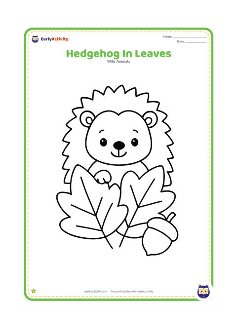 Colouring page: Draw a hedgehog peeking out from behind three oversized autumn leaves, with its eyes, nose and upper body visible. Add one simple acorn beside the leaves.