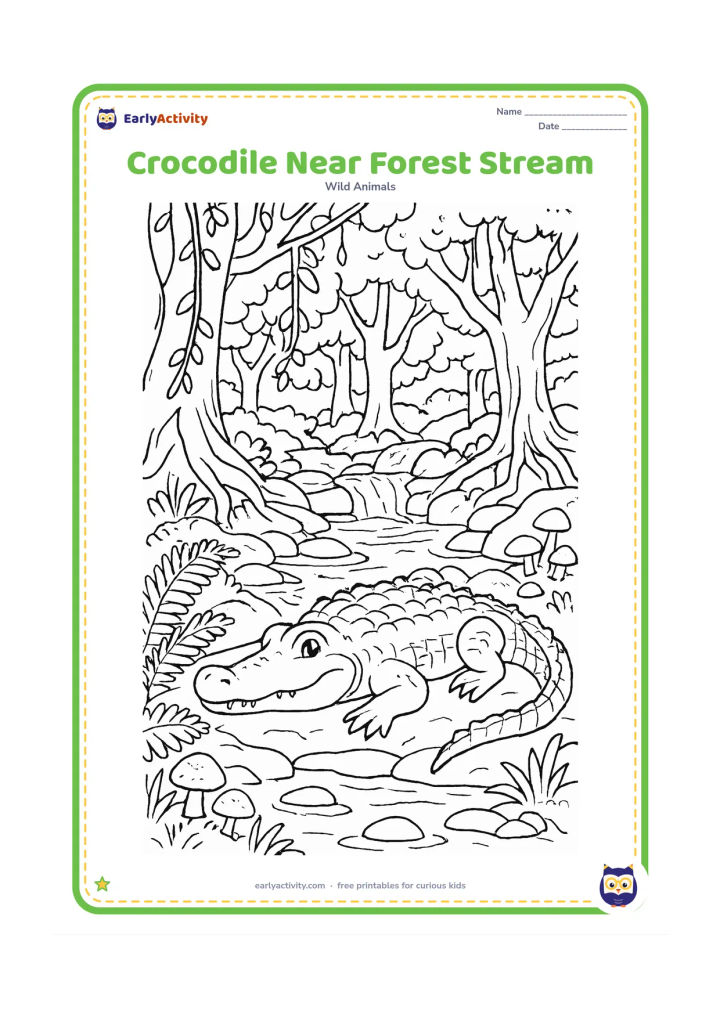 Colouring page: Draw a crocodile resting beside a forest stream with layered rocks, ferns, vines, tree roots, mushrooms, and dappled openings between tree trunks. Include a small waterfall in the distance.