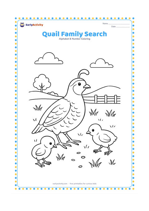 Colouring page: An adult quail leads two chicks through a field while they look for seeds. Include grasses, a low fence, a distant tree, and a few scattered seeds.
