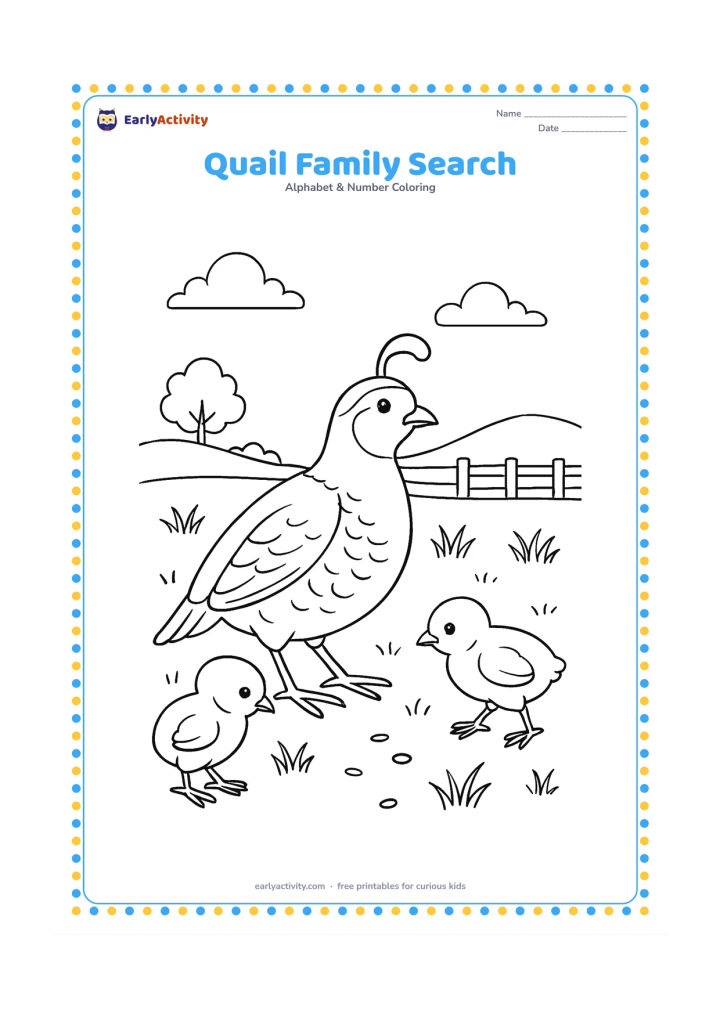Colouring page: An adult quail leads two chicks through a field while they look for seeds. Include grasses, a low fence, a distant tree, and a few scattered seeds.
