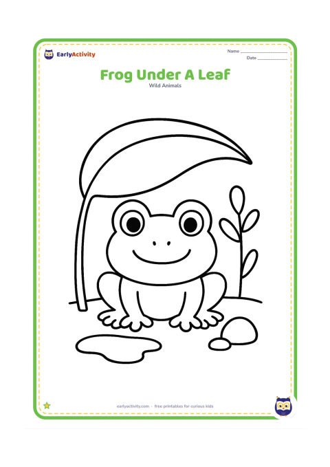 Colouring page: Draw a frog peeking out from beneath an oversized leaf beside a small puddle, with two simple stems and a rounded stone. Show the frog facing forward.