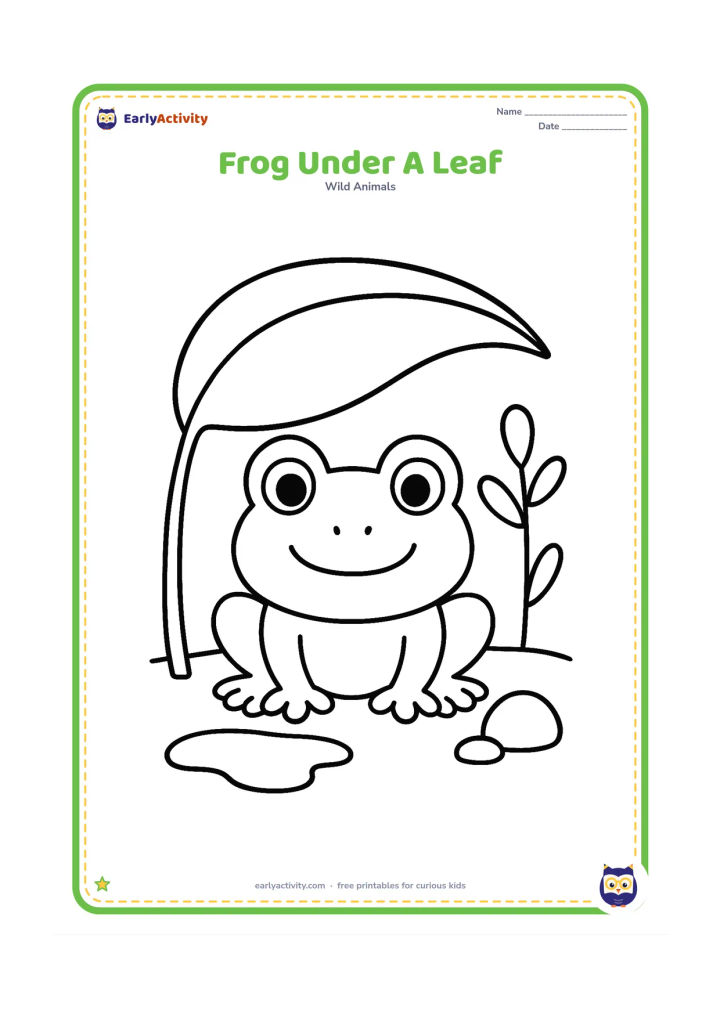 Colouring page: Draw a frog peeking out from beneath an oversized leaf beside a small puddle, with two simple stems and a rounded stone. Show the frog facing forward.