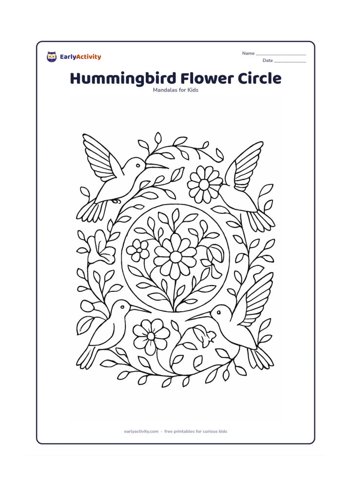 Colouring page: A detailed circular mandala with four hummingbirds hovering beside four different flowers, all arranged around a central blossom. Connect the birds and flowers with curling vines, small…