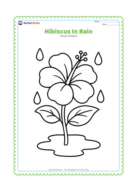 Colouring page: Draw one large hibiscus on a leafy stem with a few large raindrops around it and a simple puddle below. Keep the flower as the main focus.