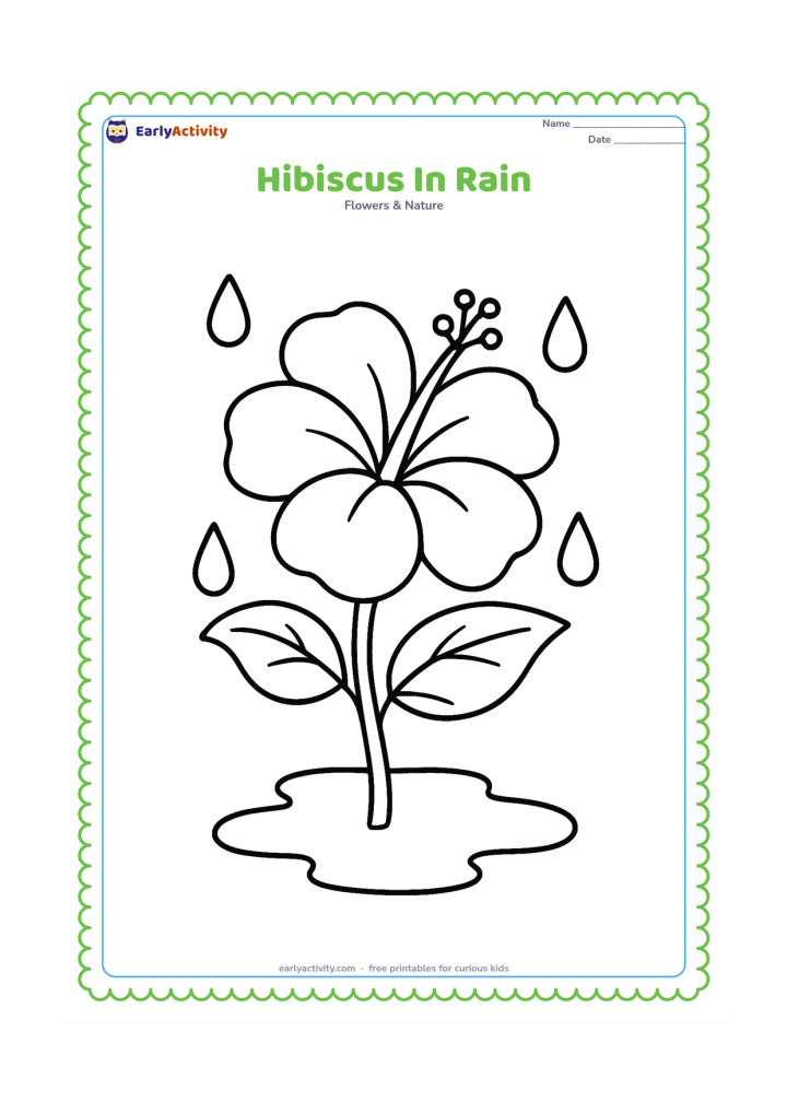 Colouring page: Draw one large hibiscus on a leafy stem with a few large raindrops around it and a simple puddle below. Keep the flower as the main focus.