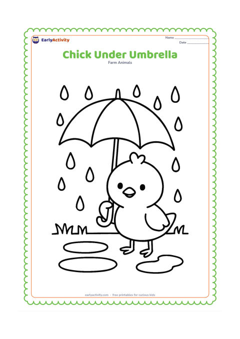 Colouring page: Draw a chick standing beneath a large open umbrella during gentle rain. Add three puddles and a low strip of grass.