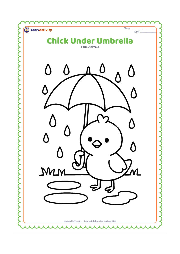 Colouring page: Draw a chick standing beneath a large open umbrella during gentle rain. Add three puddles and a low strip of grass.