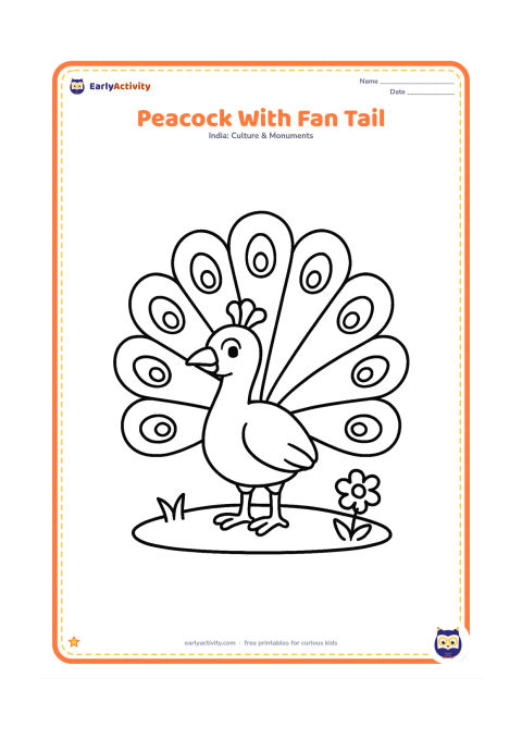 Colouring page: Draw an Indian peacock standing proudly with its large fan-shaped tail fully spread behind it. Place the bird on a simple patch of grass with one small flower.