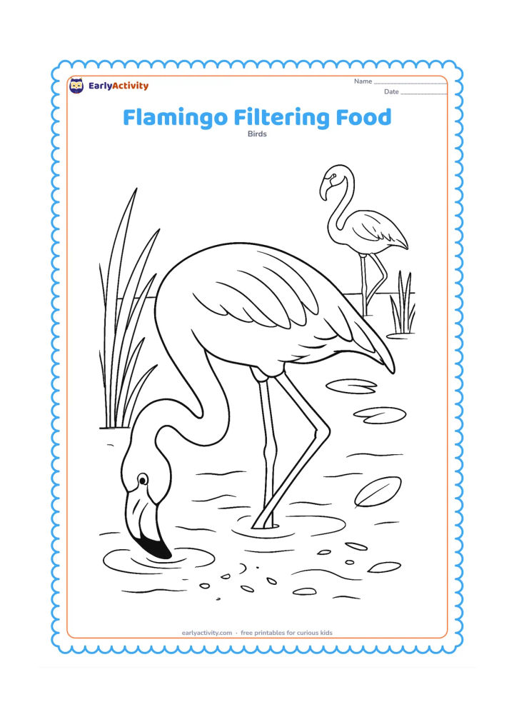 Colouring page: Draw a close side view of a flamingo bending its neck and holding its bent bill just below the surface to filter food. Show gentle water movement, tiny algae-like shapes, reeds, floating…