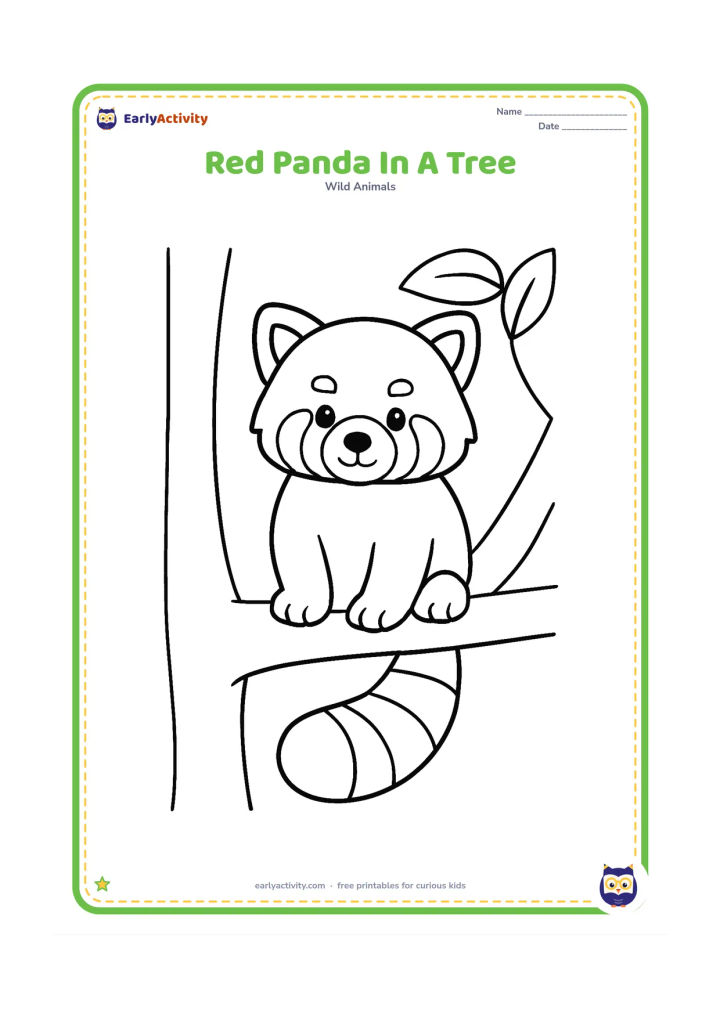 Colouring page: Draw a red panda sitting on a low, thick branch with its long striped tail hanging down. Add a simple tree trunk and two large leaves, without a busy background.