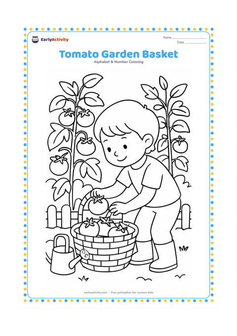 Colouring page: Draw a child gathering ripe tomatoes into a woven basket in a kitchen garden, with tomato plants, broad leaves, a watering can, and a low fence. Show the child bending carefully toward…