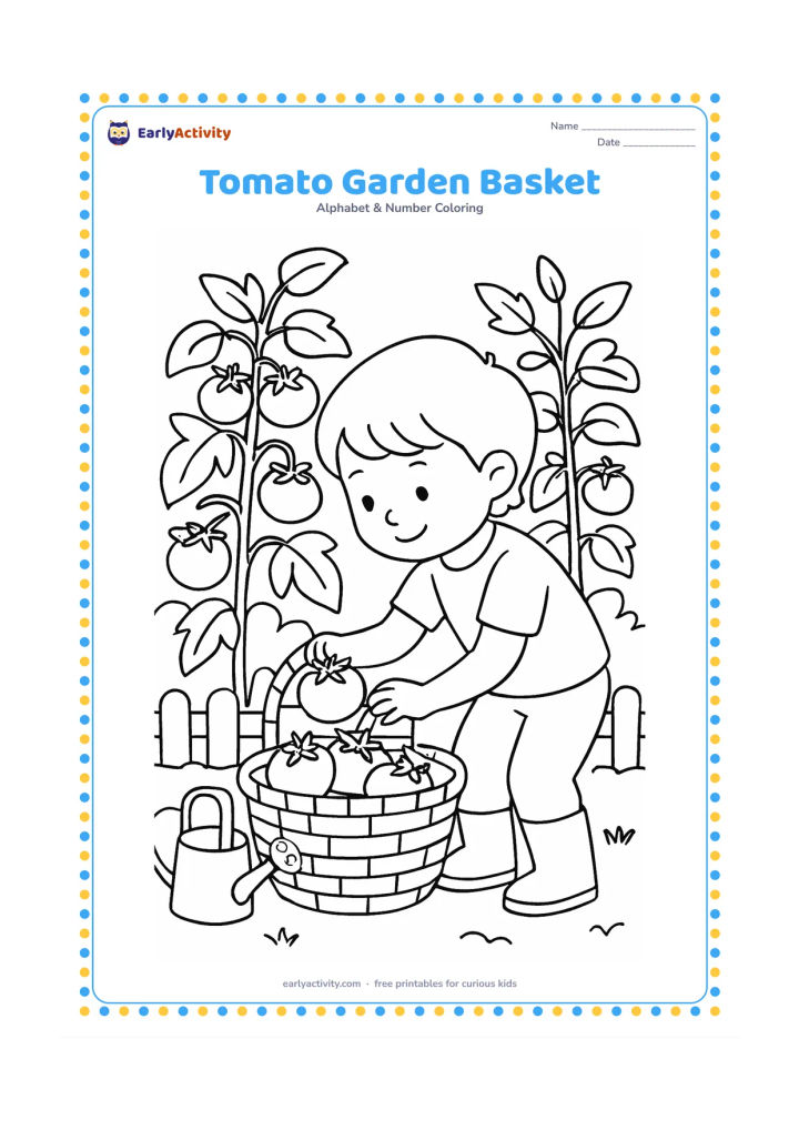 Colouring page: Draw a child gathering ripe tomatoes into a woven basket in a kitchen garden, with tomato plants, broad leaves, a watering can, and a low fence. Show the child bending carefully toward…