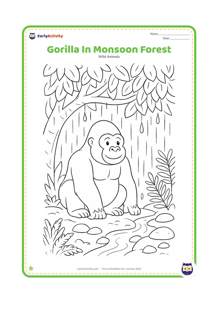 Colouring page: A gorilla shelters beneath a thick leafy canopy during a gentle monsoon shower. Include dripping leaves, wet stones, ferns and a small stream winding through the scene.