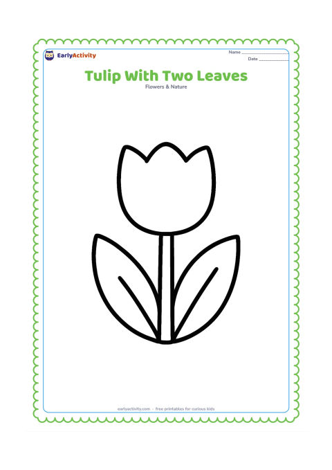 Colouring page: Draw one front-facing tulip with a rounded cup flower, a thick stem and two oversized leaves spreading out at the base. Keep the page otherwise blank.