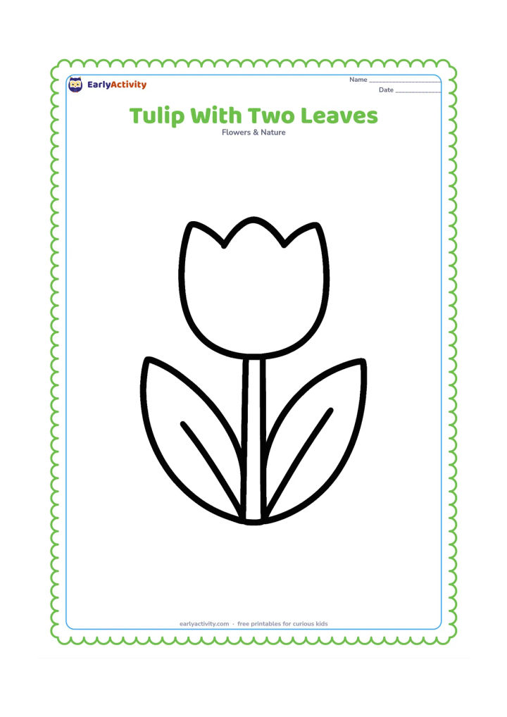 Colouring page: Draw one front-facing tulip with a rounded cup flower, a thick stem and two oversized leaves spreading out at the base. Keep the page otherwise blank.
