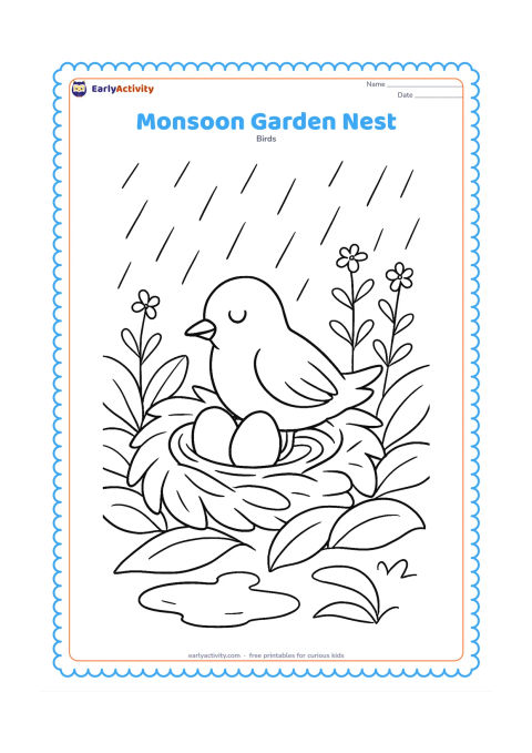 Colouring page: A nest with two eggs sits in a leafy garden during a gentle shower, with a parent bird sheltering beside it. Add broad leaves, curved rain lines, a small puddle and distant flower stems.
