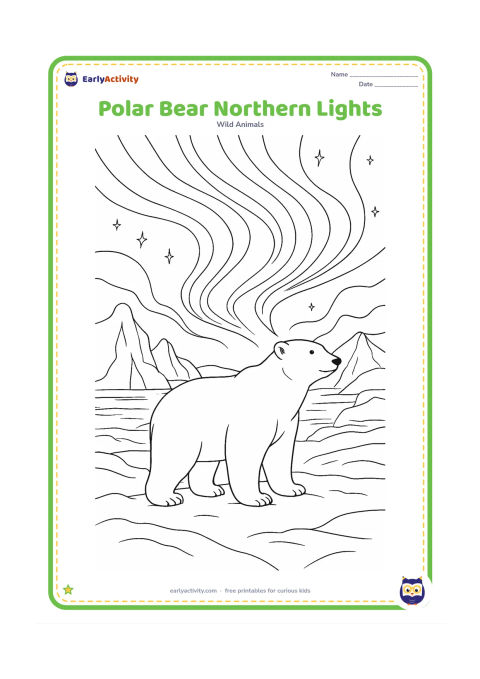 Colouring page: A polar bear stands on an Arctic shore beneath sweeping northern lights, with icebergs, snowdrifts, stars, and a calm sea in the background.