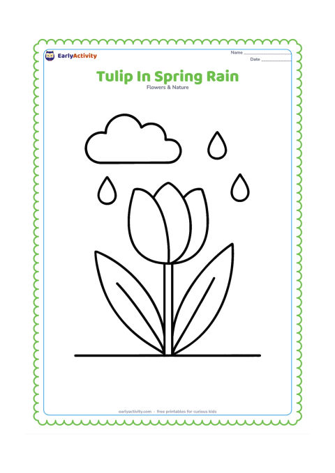 Colouring page: Draw one large tulip with two leaves beneath a simple cloud and a few widely spaced raindrops. Use a clear ground line and no detailed background.