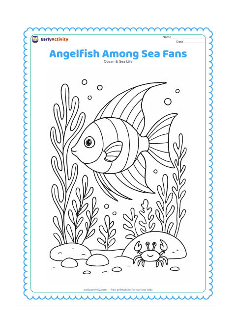 Colouring page: Draw an angelfish with flowing fins weaving between tall sea fans and delicate sea plants. Add a rocky seabed, bubbles, a small crab and distant coral shapes, with the fish turned…