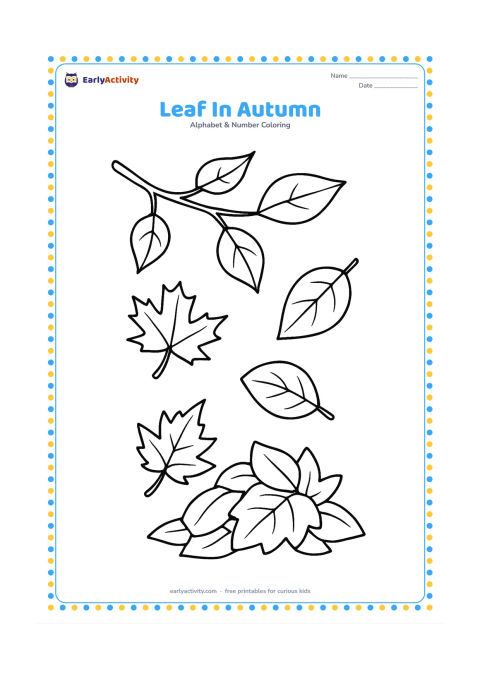 Colouring page: Draw several different large leaves falling from a small tree branch, including maple-like and rounded leaf shapes, with a little pile of leaves below. Leave open space between each leaf.